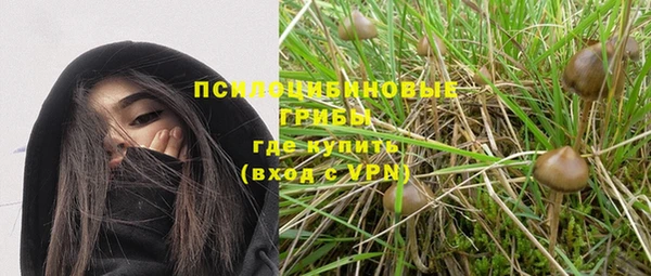 шишки Алзамай