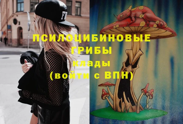сатива Алексин
