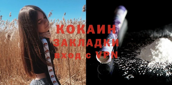шишки Алзамай