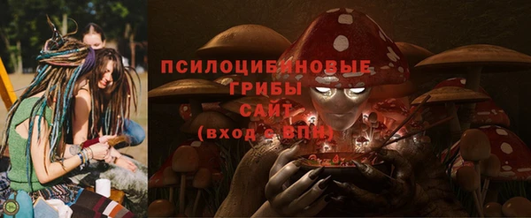 прущая мука Арсеньев