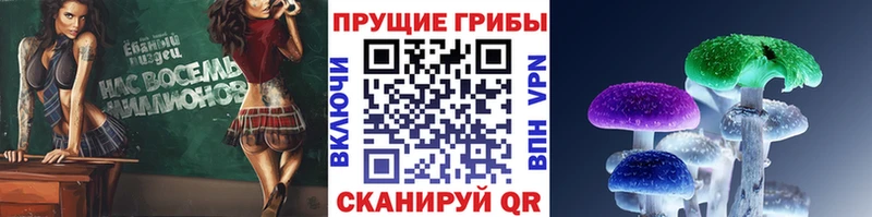 Купить закладки  Змеиногорск  Псилоцибиновые грибы мицелий 