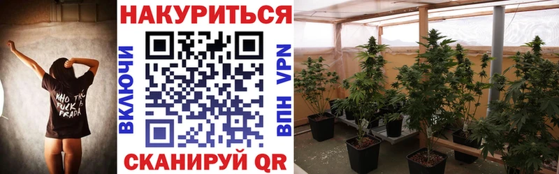 Шишки марихуана Bruce Banner Змеиногорск